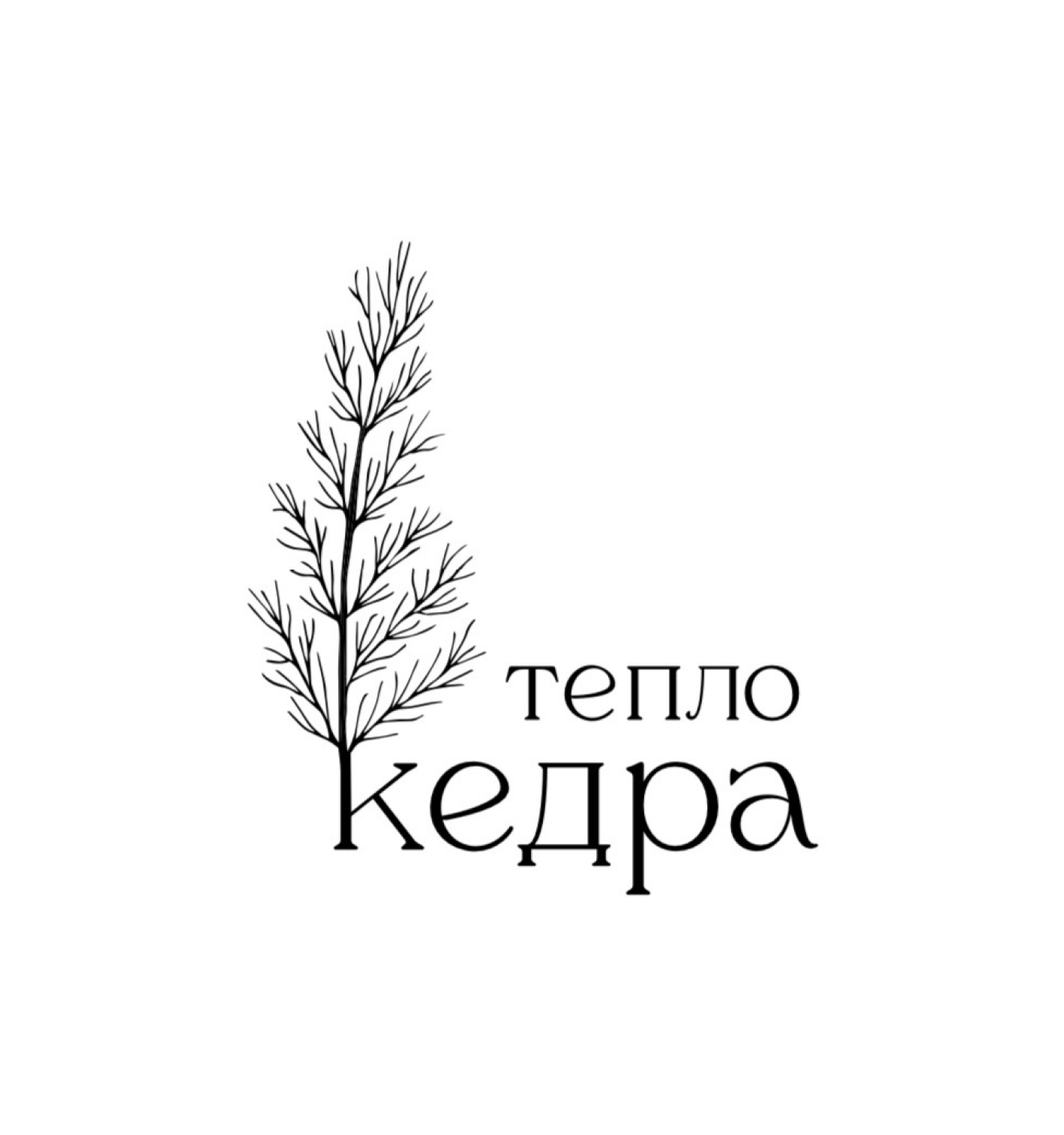 Тепло Кедра